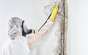 Best Dehumidification Services  in Polk City, FL